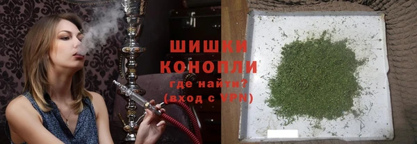 сатива Горно-Алтайск